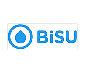 Bisu